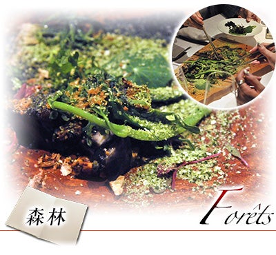 森林