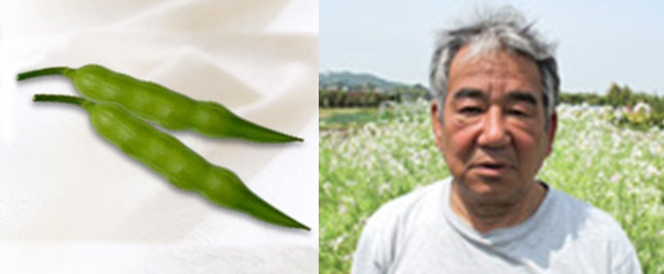 田辺大根(たなべだいこん)の実