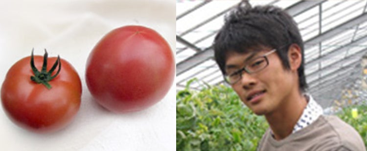 冬穫りトマト