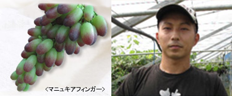 ブドウ