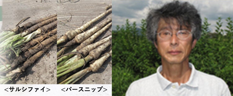 西洋野菜