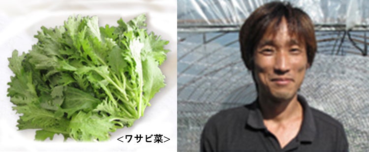 間引き菜