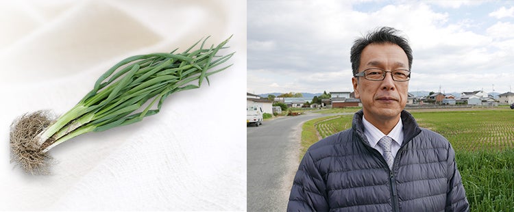 大和の伝統野菜 結崎（ゆうざき）ネブカ