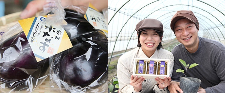 150年の経験と最新技術を融合してつくる真のおいしさ「なにわの伝統野菜」