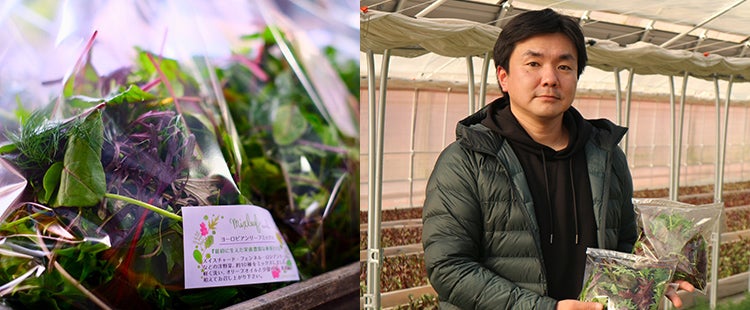 農法から販売まで。独自スタイルで拓く、農業の新しい可能性。
「ヨーロピアンリーフミックス」