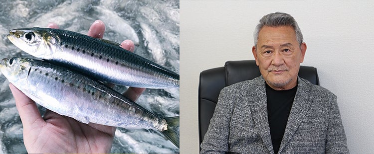 都会の漁師が挑む、大阪鮮魚の味・鮮度・未来を支える。
都会の漁師の挑戦。
「金太郎イワシ」