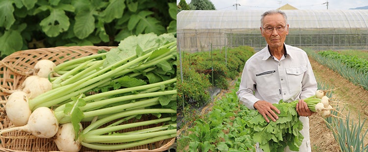 地域を農業で盛り上げる、
なにわの伝統野菜復活の第一人者。
「なにわの伝統野菜」