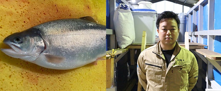 国産のおいしい魚を届けるために。
陸上養殖という新たな漁場を大阪に。
「美咲サーモン」