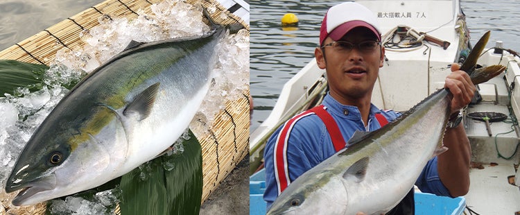 困難な環境を美味に転換。
日本海側で唯一、養殖ブリへの挑戦。
「伊根の養殖ブリ」