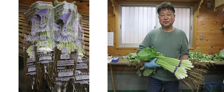 大阪の春を食べる。
              丸ごとおいしいブランド野菜。
              「八尾若ごぼう」