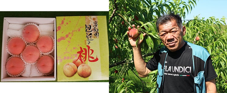 ギネスに新たな分野を拓いた、
世界一甘い桃。
「包近の桃 まさひめ」