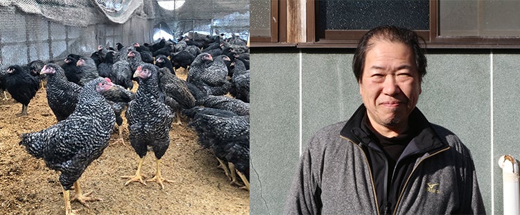 餌に飼育に血統に。
              こだわりが光る京の地鶏。
              「京地どり」