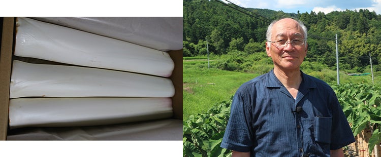 たった一人の情熱が蘇らせた
幻の伝統野菜。
「軟白ずいき」