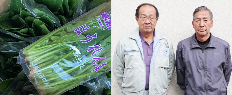 厳しい寒さが育む、ほうれん草の常識を超えたほうれん草。「大和寒熟ほうれん草」