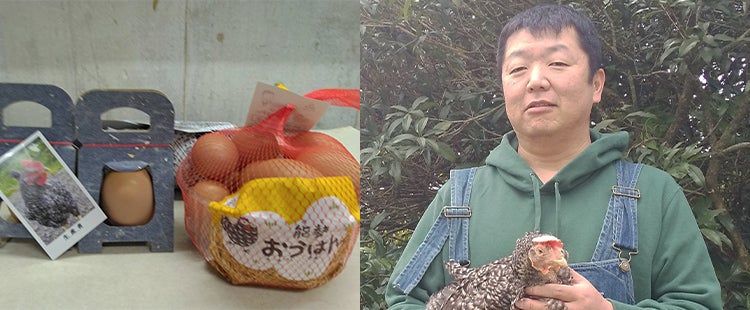 日本で生まれ、日本で育ち、日本で生産したからわかる、日本人をとりこにする卵。「能勢おうはんの卵」